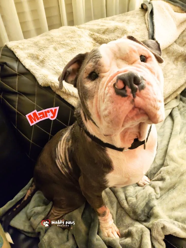 Mary Magdalene thumbnail 3