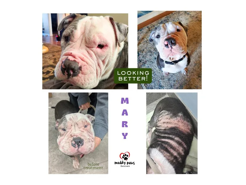 Mary Magdalene thumbnail 4