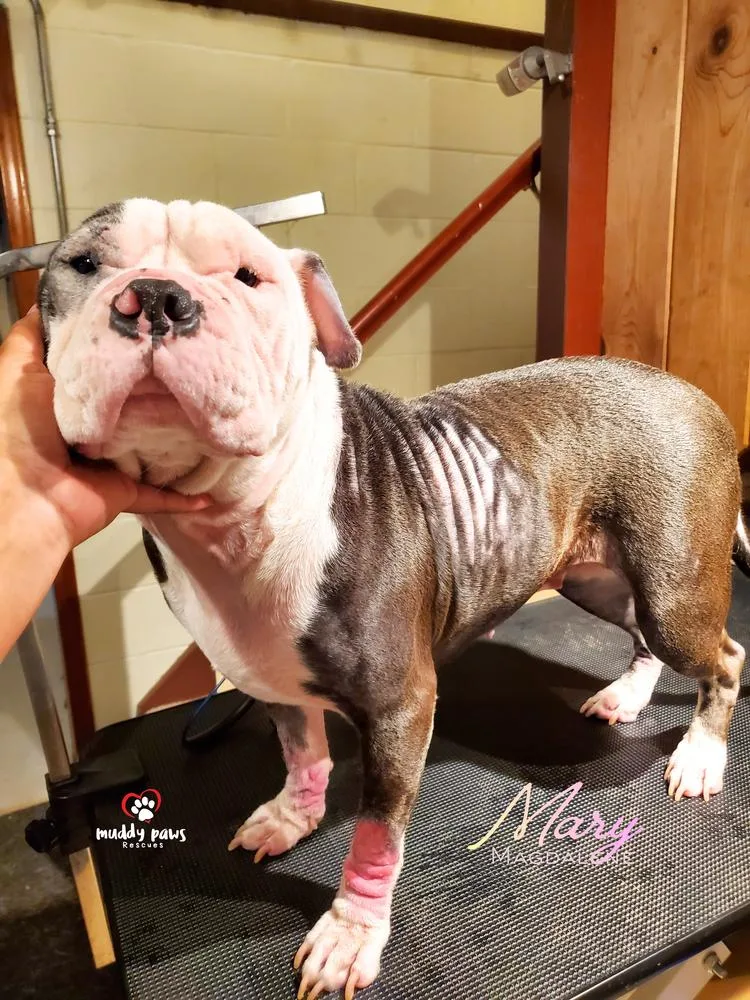 Mary Magdalene thumbnail 5