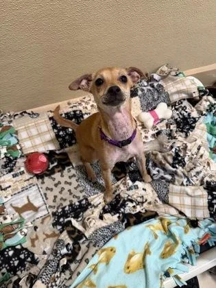 Darrel `darry` Curtis