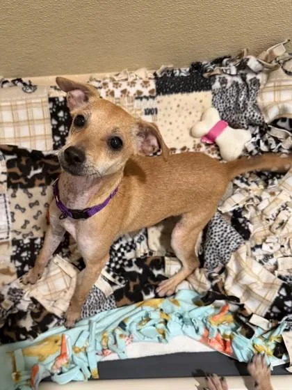 Darrel `darry` Curtis thumbnail 2