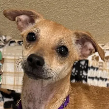 Darrel `darry` Curtis thumbnail 3