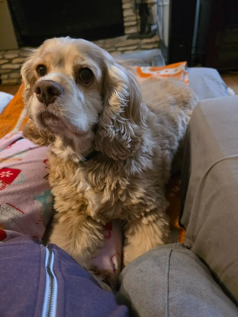 Rory