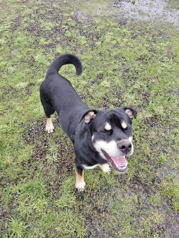 Mushu Russell thumbnail 6