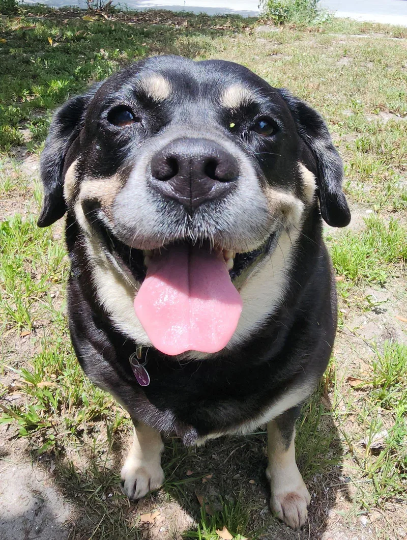 Georgia Ii thumbnail 2