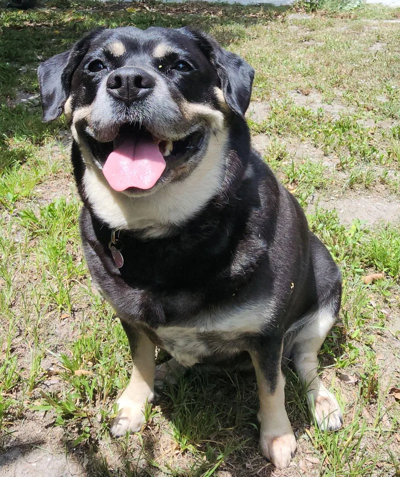 Georgia Ii thumbnail 3