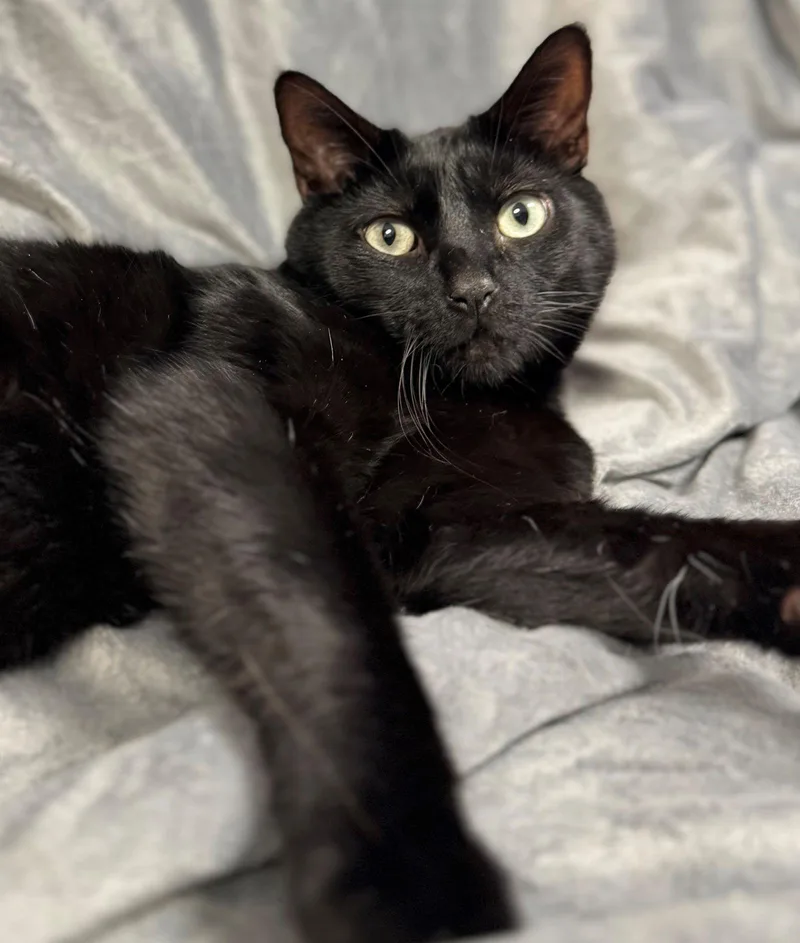 Peaches & Eddie thumbnail 2