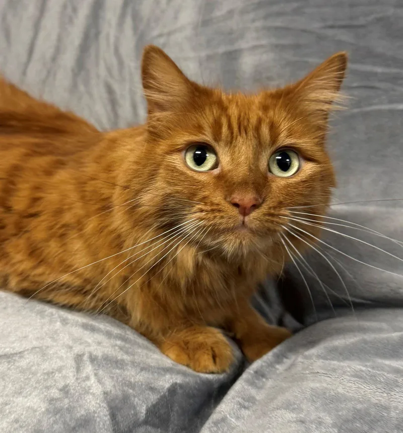 Peaches & Eddie thumbnail 3