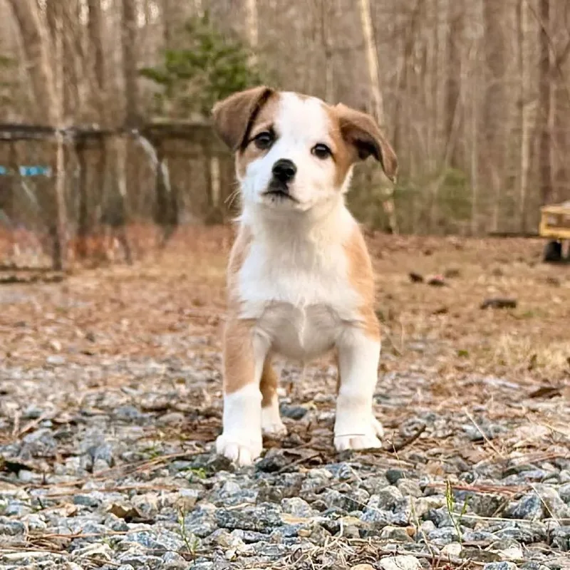 Squidward thumbnail 3