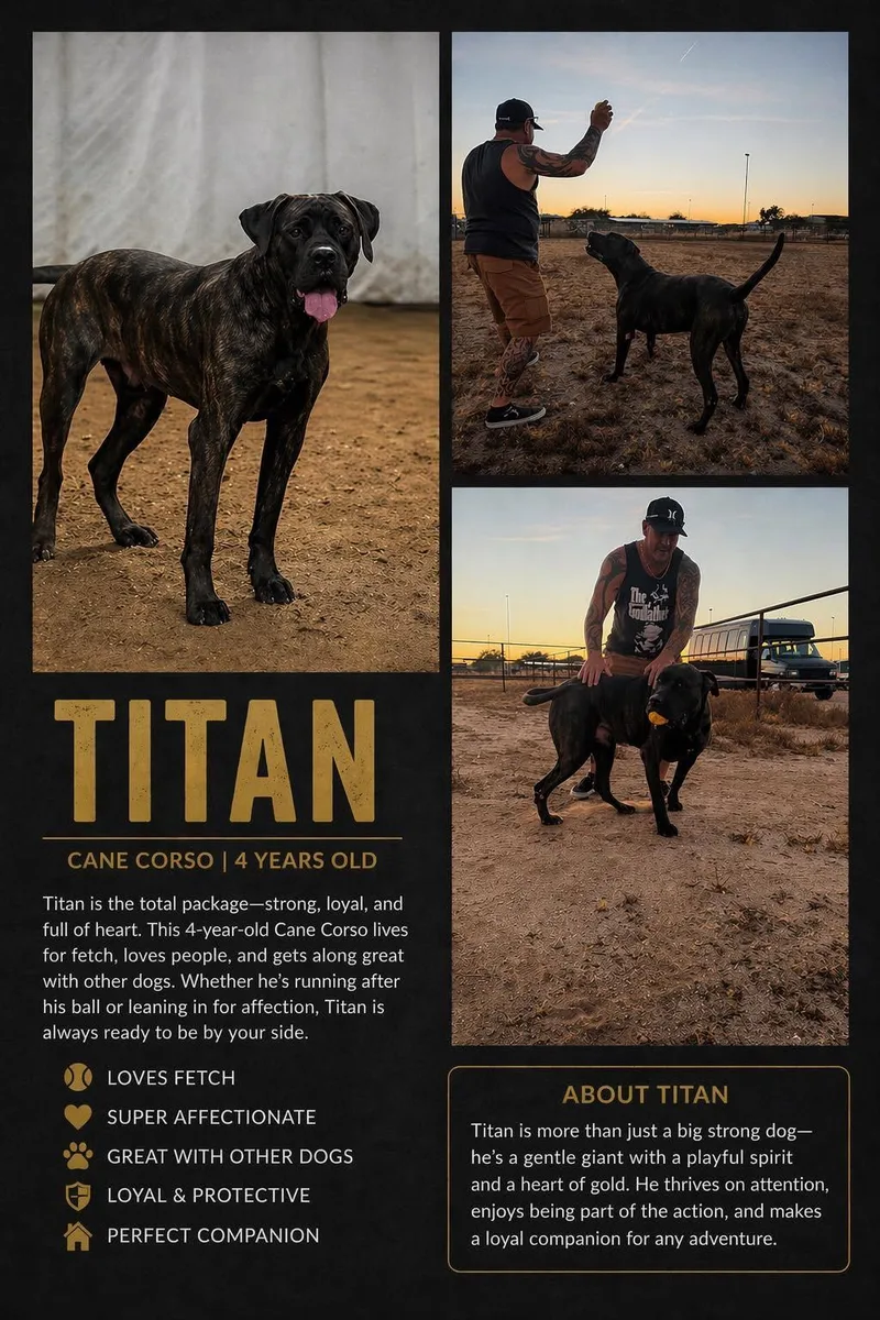 Titan thumbnail 3