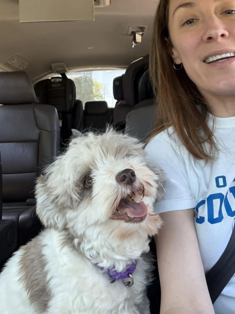Hazel thumbnail 2