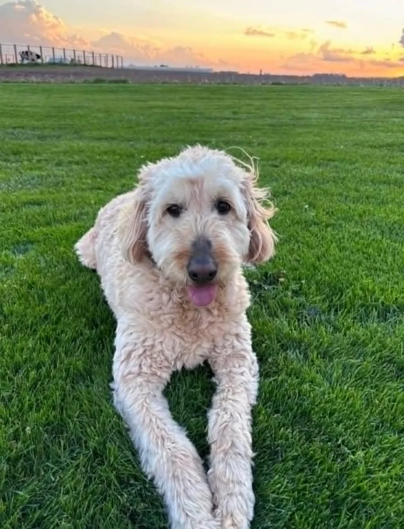 Oakley!!