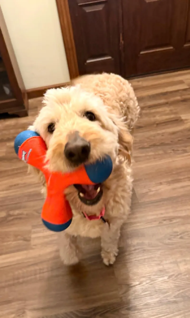 Oakley!! thumbnail 2