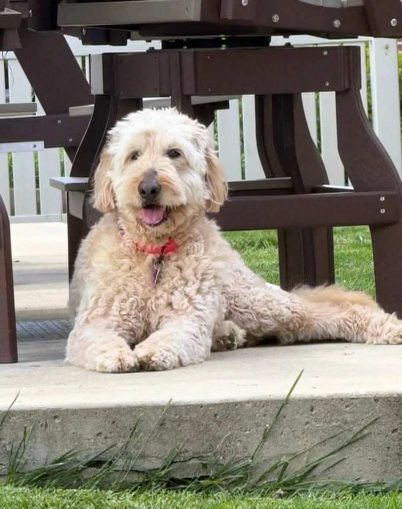 Oakley!! thumbnail 5