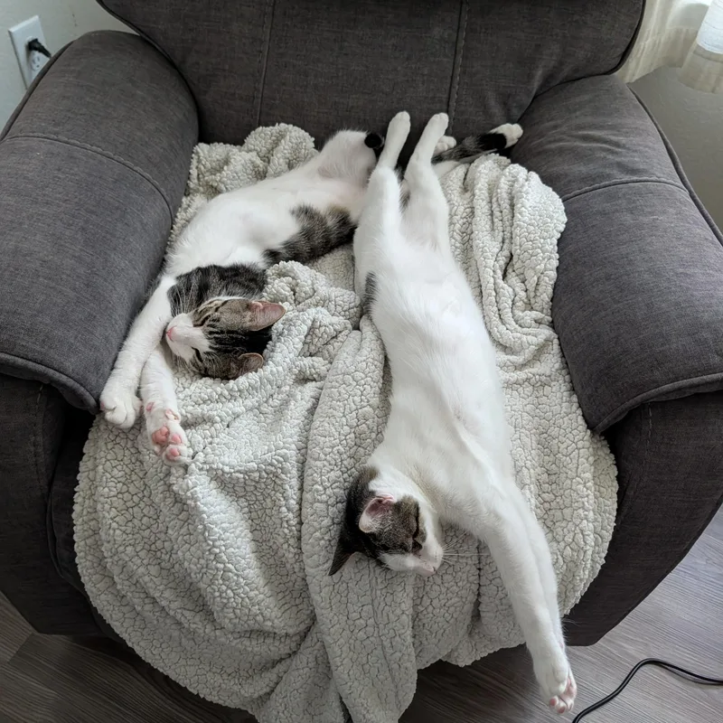 Tucker and Baby Mia thumbnail 4