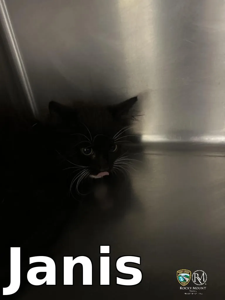 Janis thumbnail 2