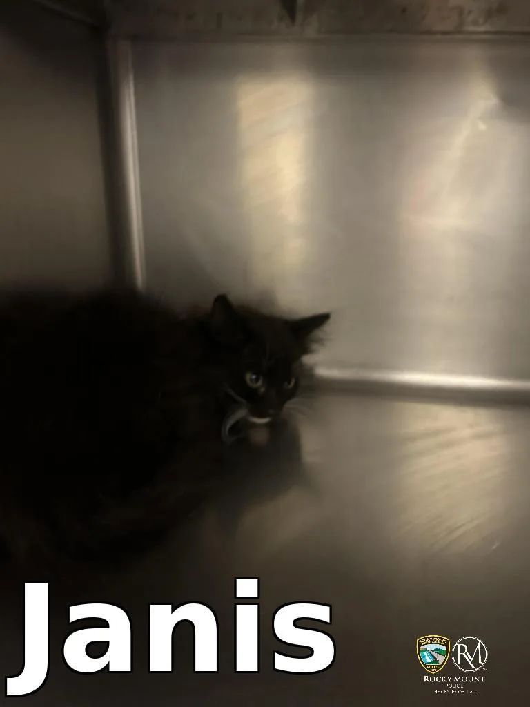 Janis thumbnail 3