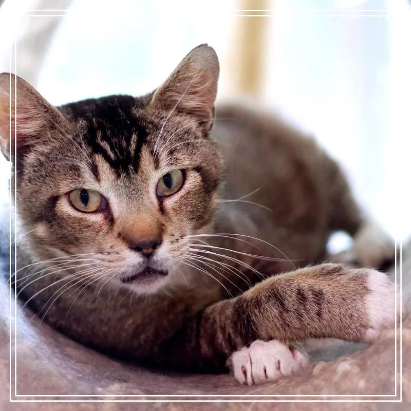 Waylon thumbnail 3