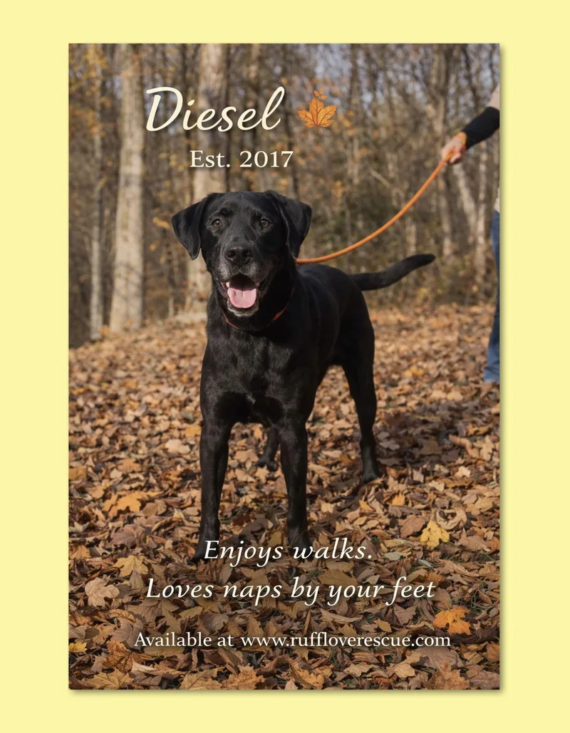 Diesel