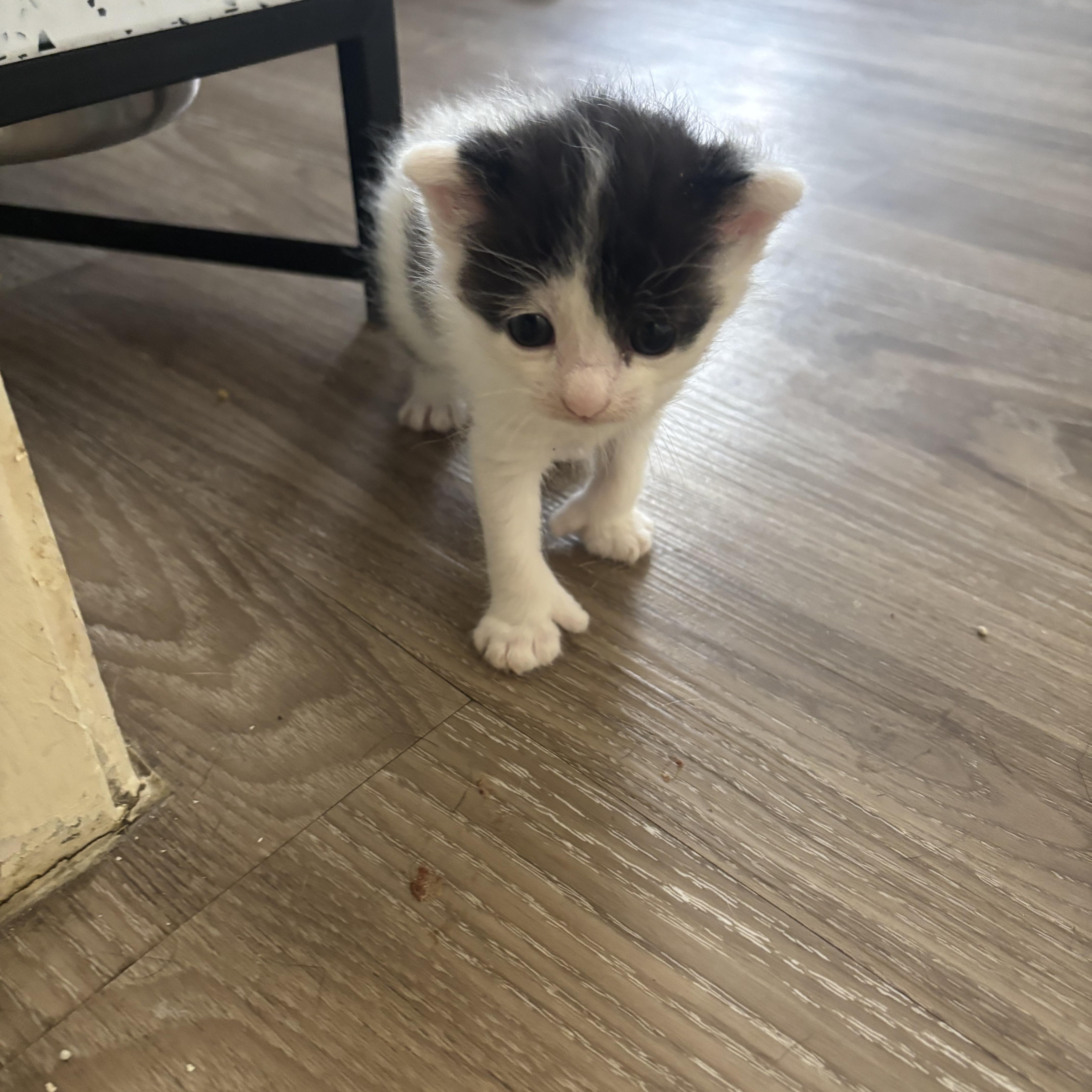 Thumbelina thumbnail 2