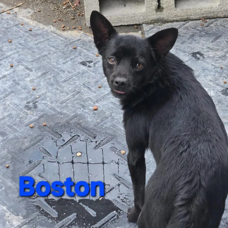 Boston