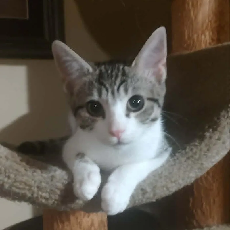 Darla thumbnail 2