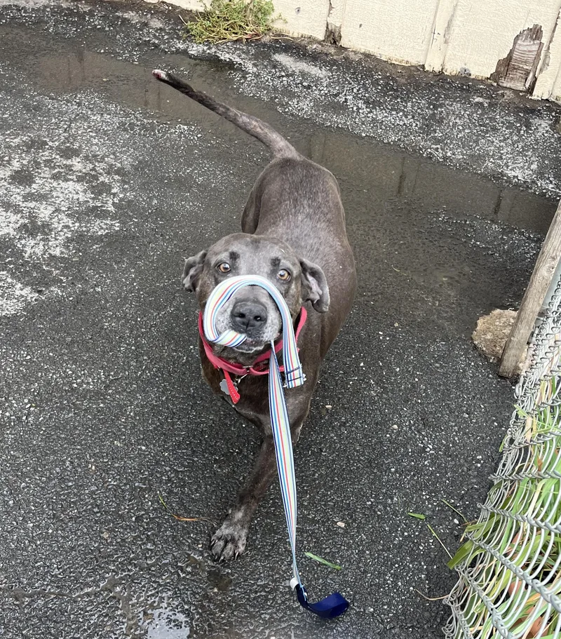 Jax Black thumbnail 2