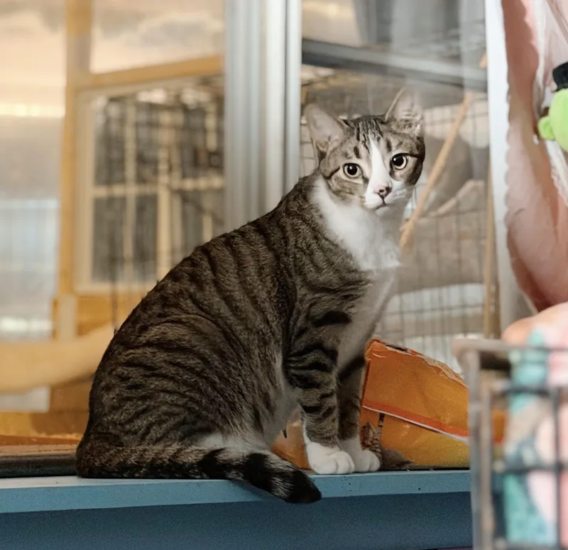 Sebastian thumbnail 3