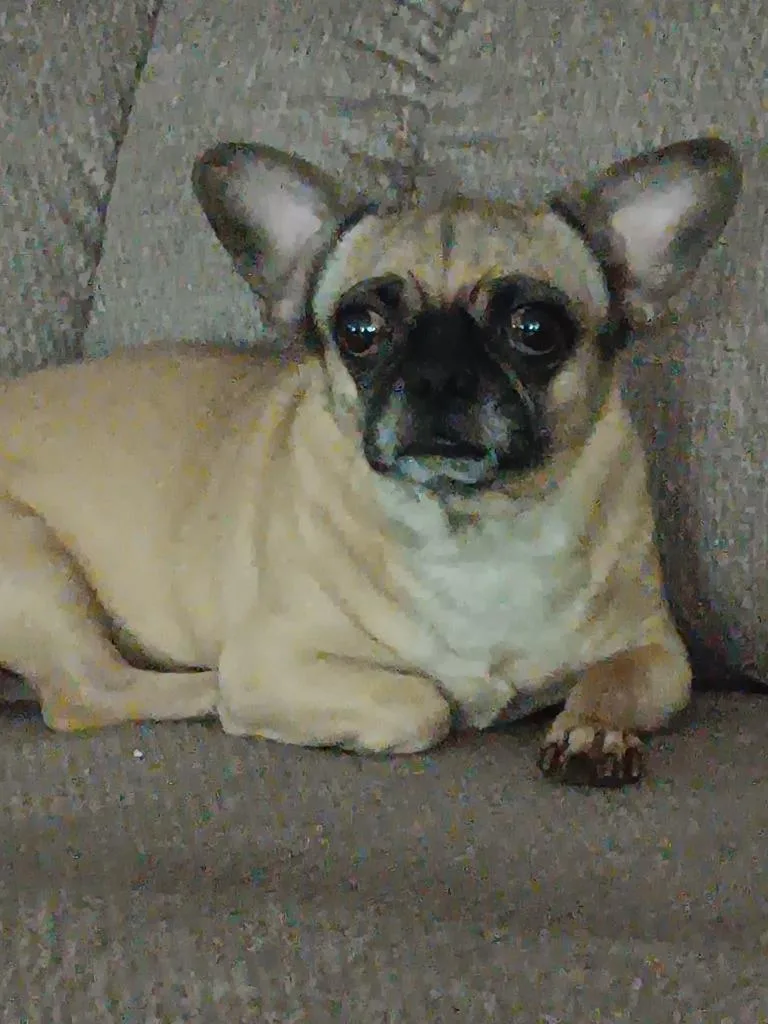 Lily Rose thumbnail 2