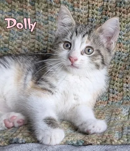 Dolly