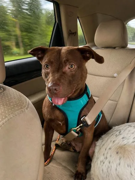 Coco