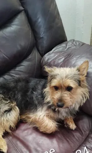 Nene In Tx thumbnail 2