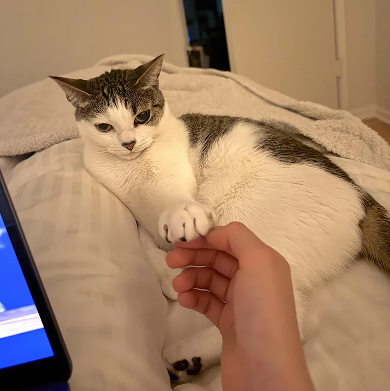 Luna and Nabi thumbnail 5