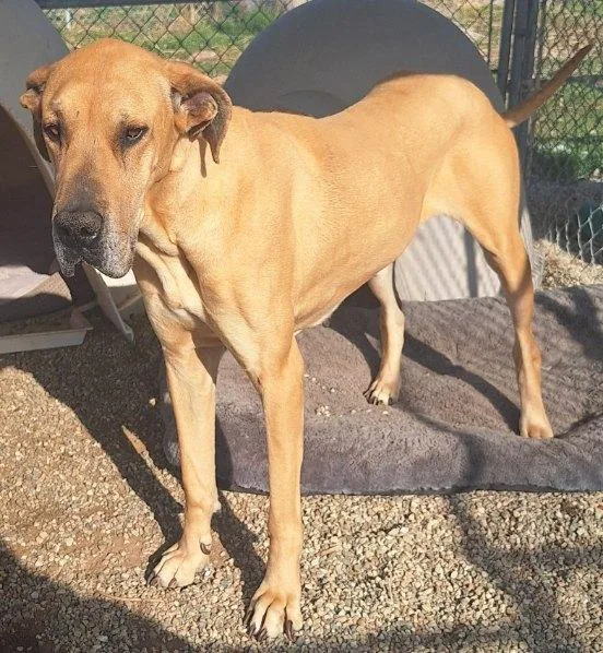 Mallory  Moo thumbnail 2