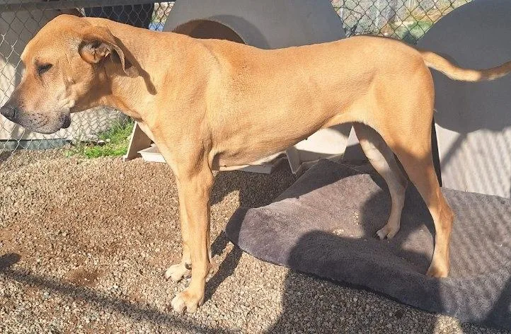 Mallory  Moo thumbnail 3