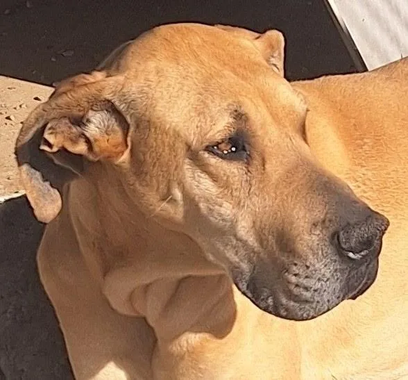 Mallory  Moo thumbnail 4