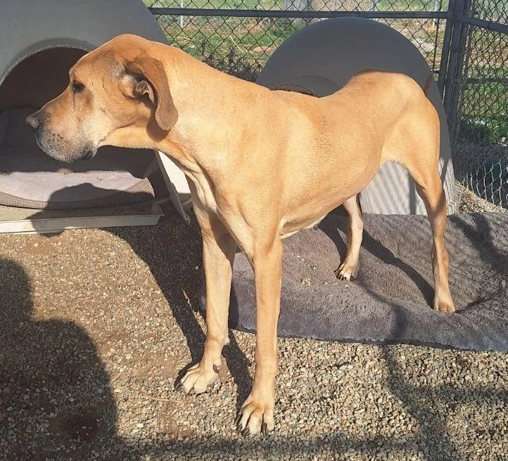 Mallory  Moo thumbnail 5