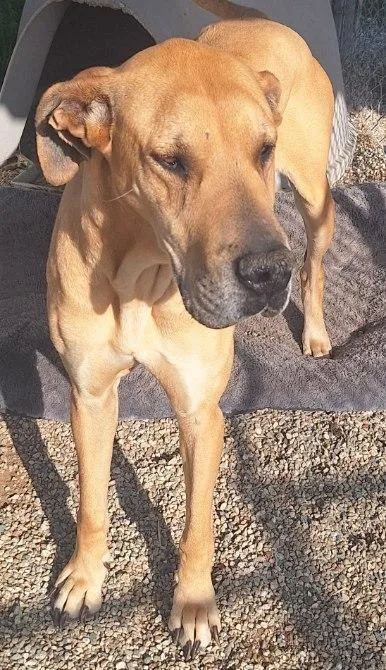 Mallory  Moo thumbnail 6