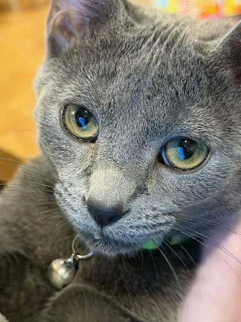 Tinkerbell