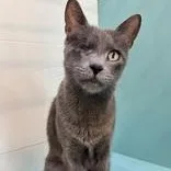 Kiki