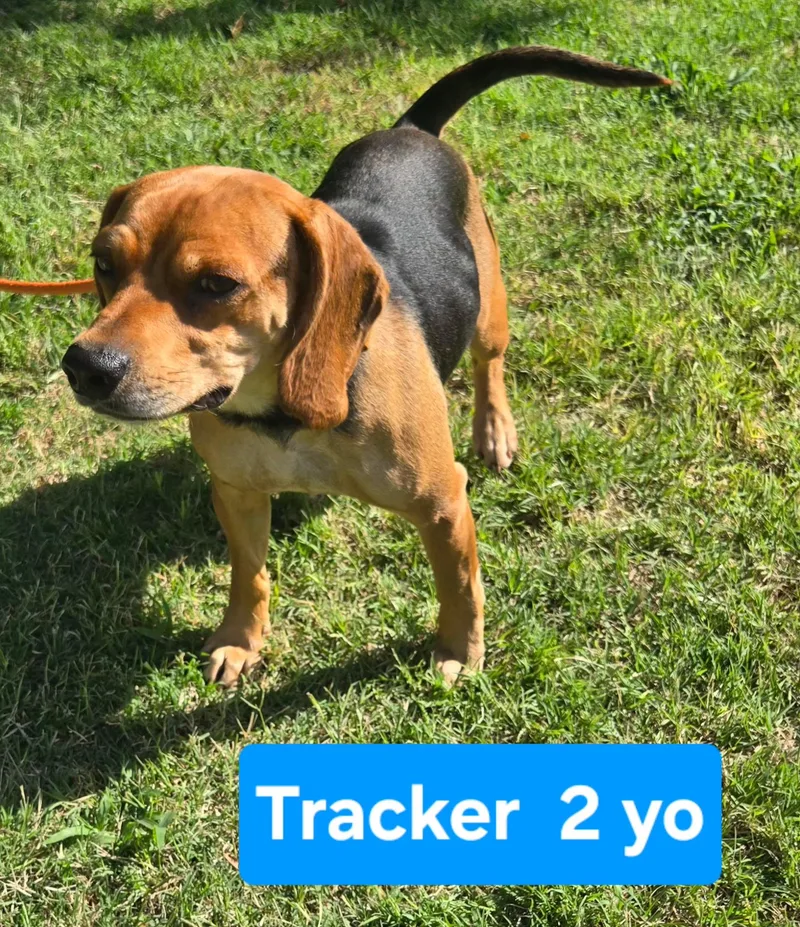 Tracker