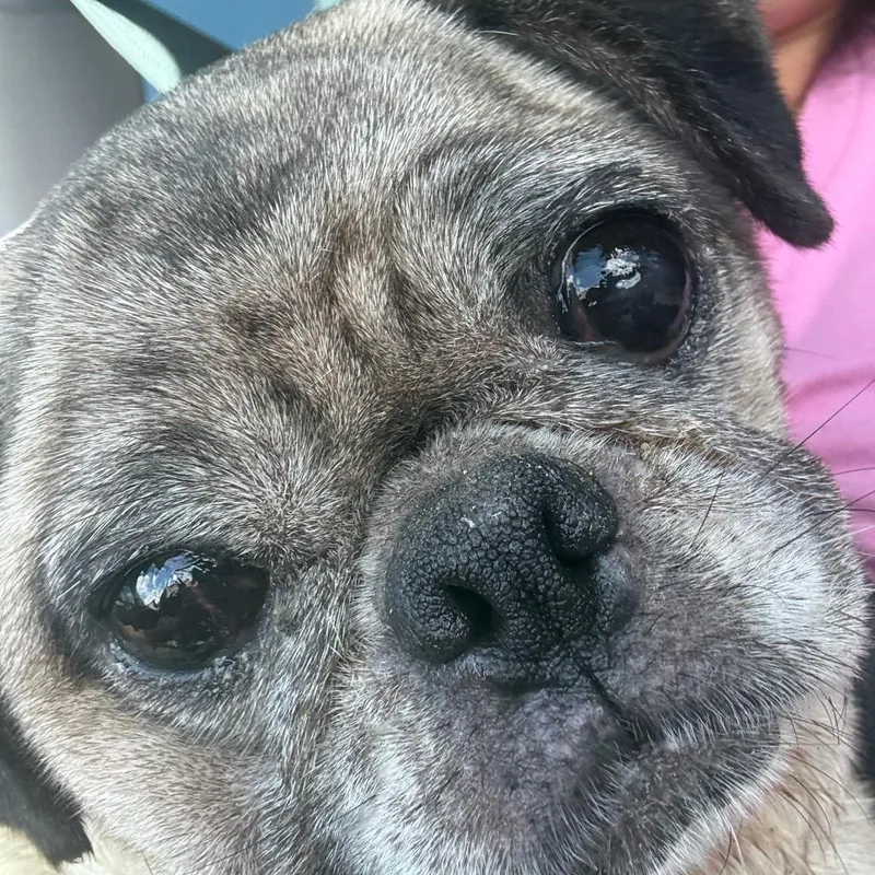 Gertle thumbnail 2