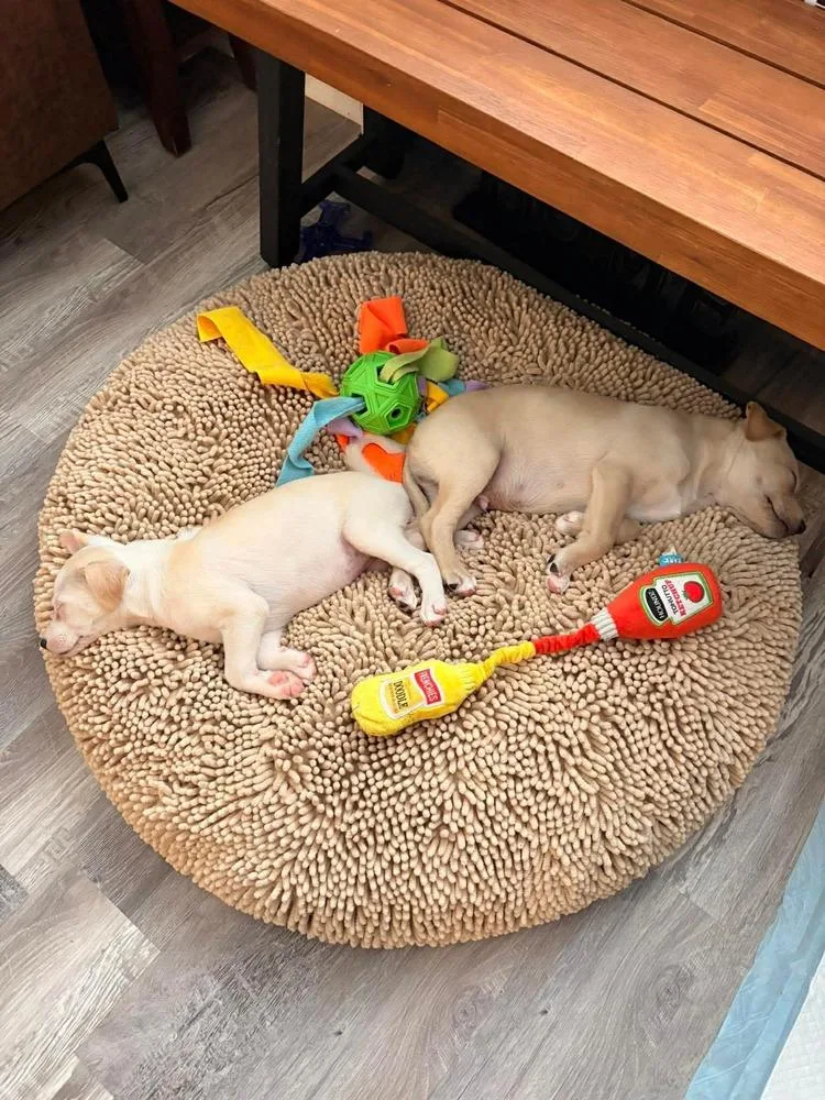 Bebecita thumbnail 2