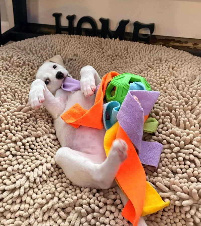 Bebecita thumbnail 3