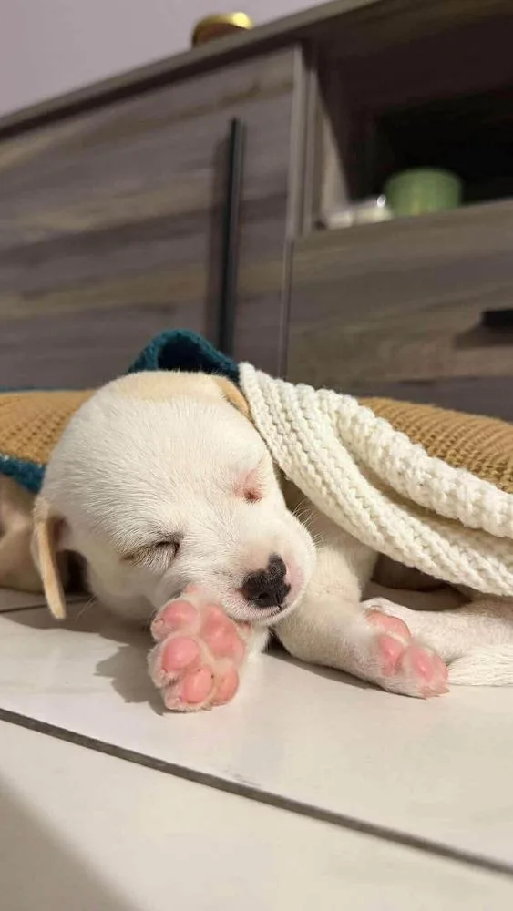 Bebecita thumbnail 5