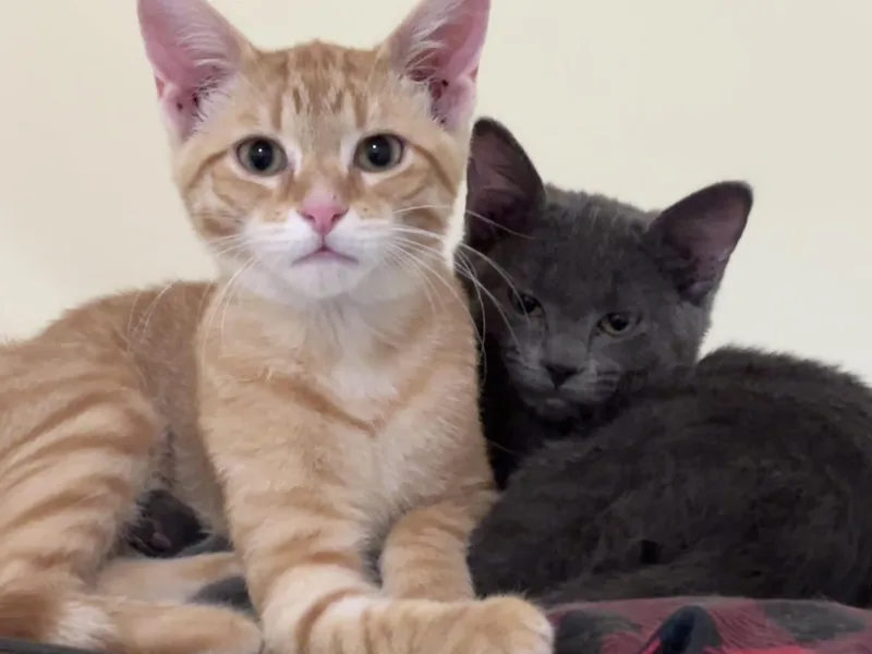 Tuck & Winnie thumbnail 2