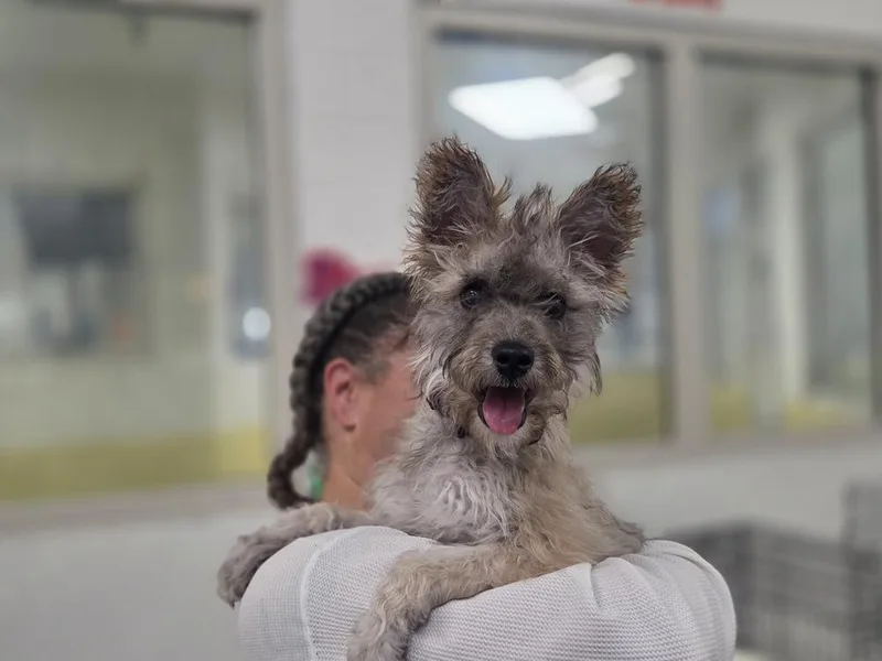 Wednesday thumbnail 3