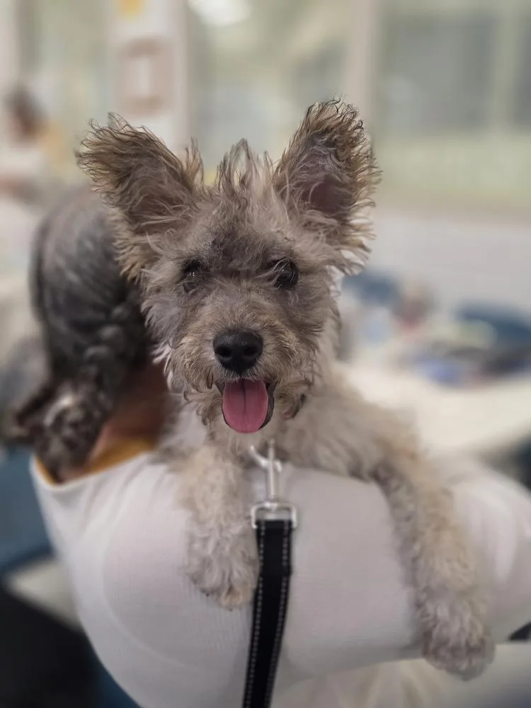 Wednesday thumbnail 4