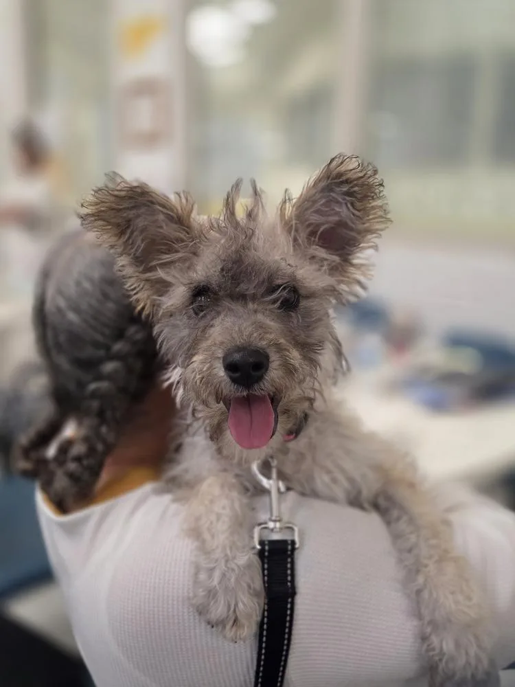 Wednesday thumbnail 5