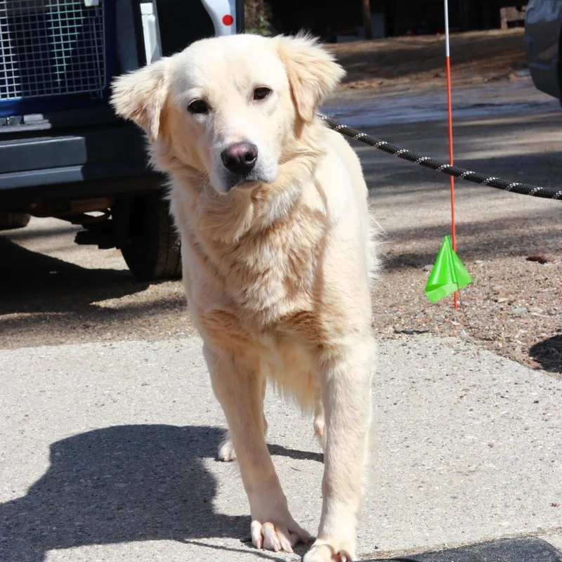 Ct Ramsey thumbnail 3